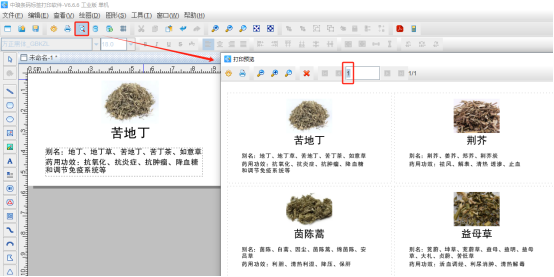 标签制作软件如何批量制作带可变图片的中药标签